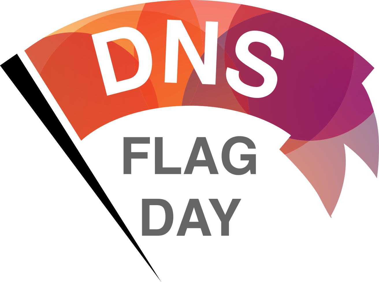 DNS Flag Day 2020
